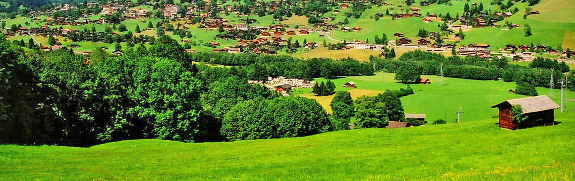 karadeniz turları